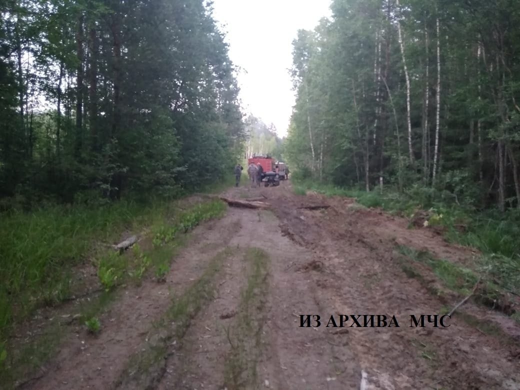 Лесной пожар в Макарьевском районе