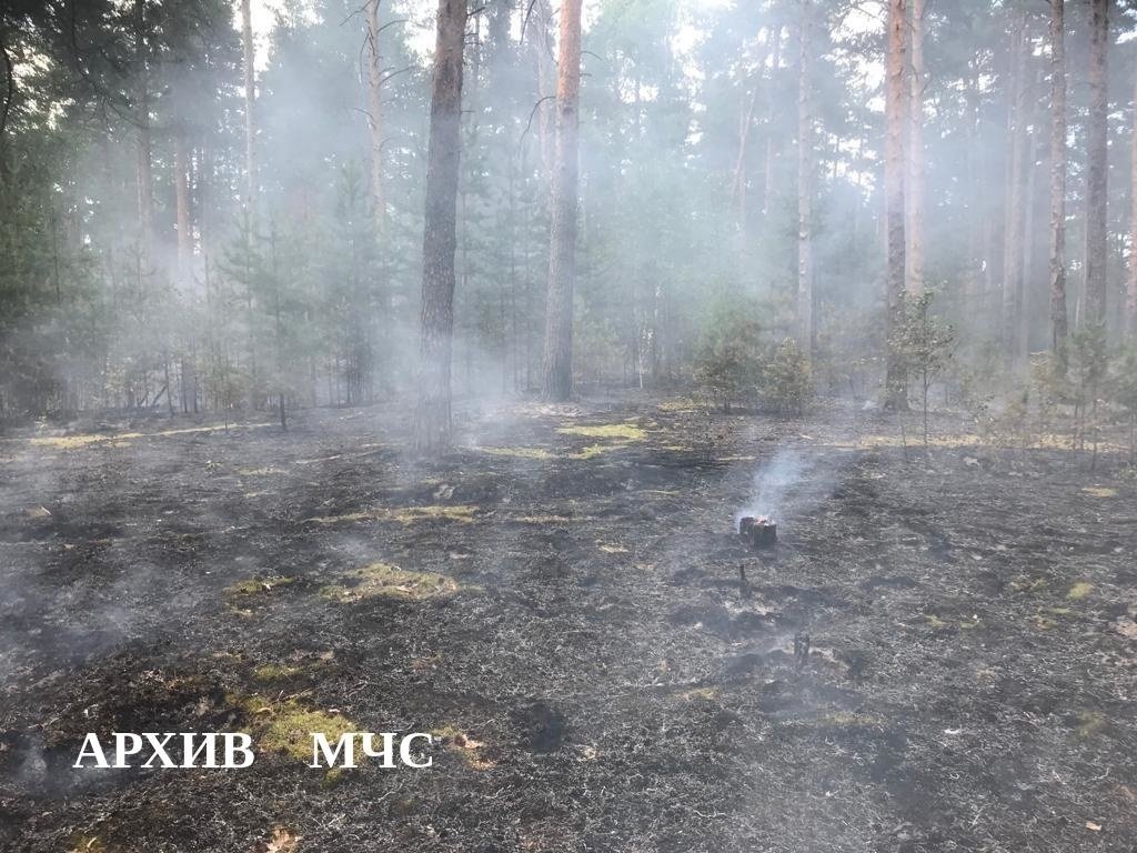 Лесной пожар в Макарьевском районе локализован