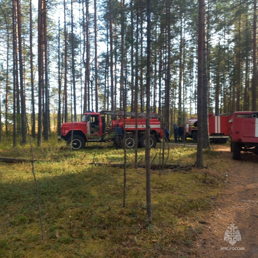 Лесной пожар в Макарьевском муниципальном районе